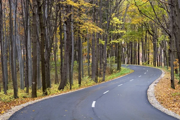 Country Road Autumn — Stock Photo, Image