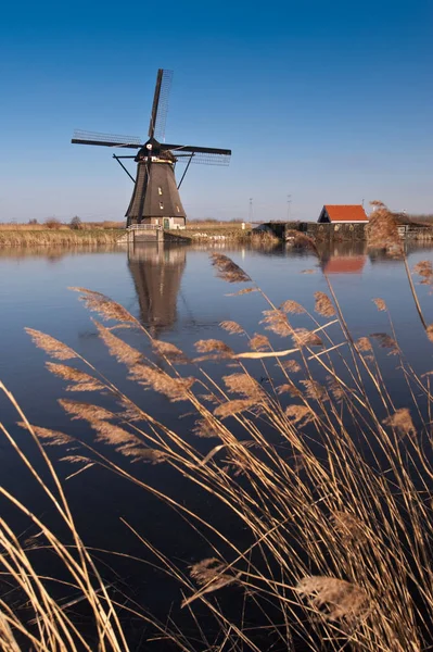 Bellissimo Paesaggio Mulino Vento Kinderdijk — Foto Stock