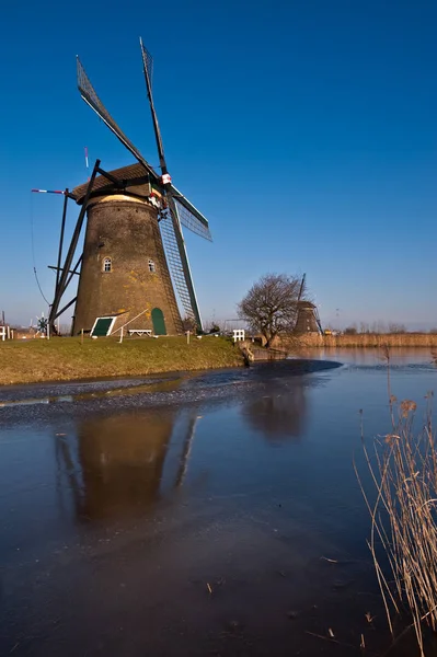 Krásný Větrný Mlýn Krajina Kinderdijk — Stock fotografie