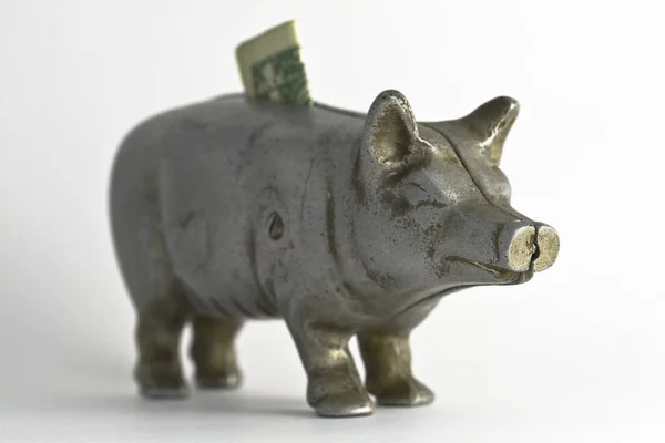 Piggy Bank Money Savings — Stock Photo, Image