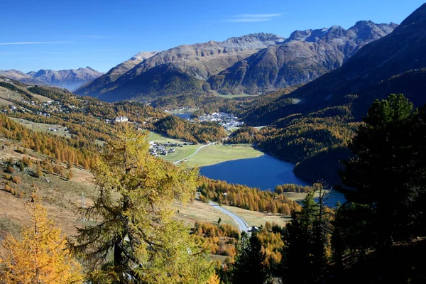 Prachtig Uitzicht Natuur — Stockfoto