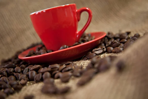 Brun Kaffedryck Morgondryck — Stockfoto