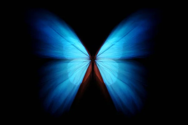 Modrý Motýl Pozadí Obrázek Tapety — Stock fotografie