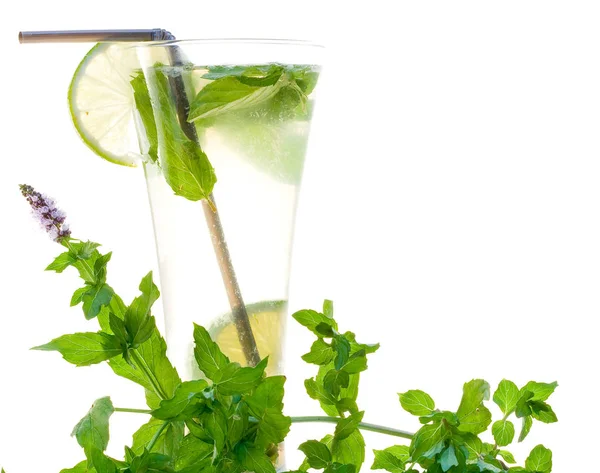 Mojito Cocktail Minuman Segar Musim Panas — Stok Foto