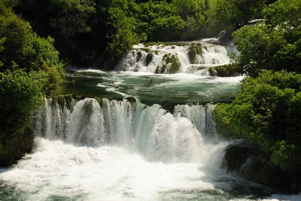 Flora Naturaleza Flujo Agua Cascada — Foto de Stock