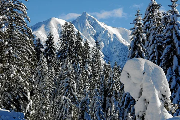 Vista Panorâmica Paisagem Majestosa Dos Alpes — Fotografia de Stock