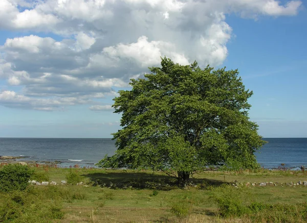 Tengerparton Simrishamn — Stock Fotó