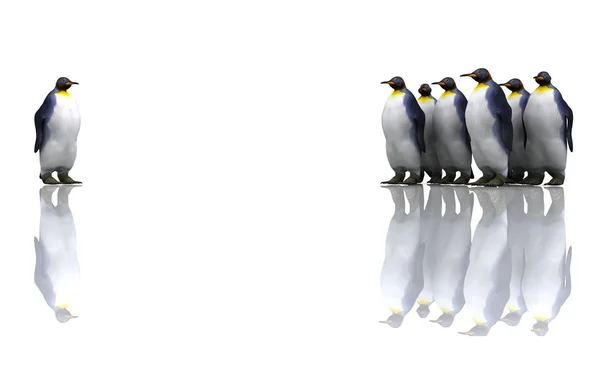 Doğada Sevimli Penguen Kuşlarının Manzarası — Stok fotoğraf