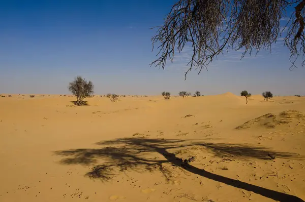 사막의 그림자 — 스톡 사진