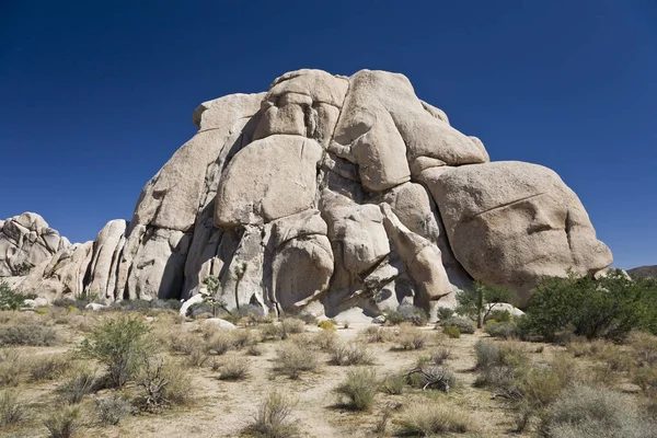 Kletter Mekka Joschua Baumnationalpark — Stockfoto