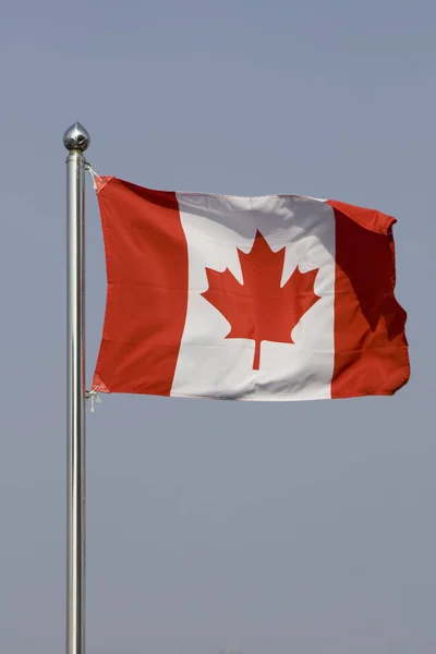 Bandera Canadiense Ondeando Contra Cielo Azul —  Fotos de Stock