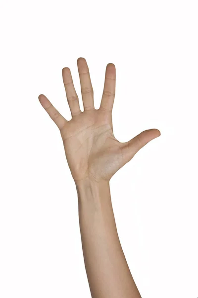 Closeup Hand Sign Gesture — Stock Photo, Image