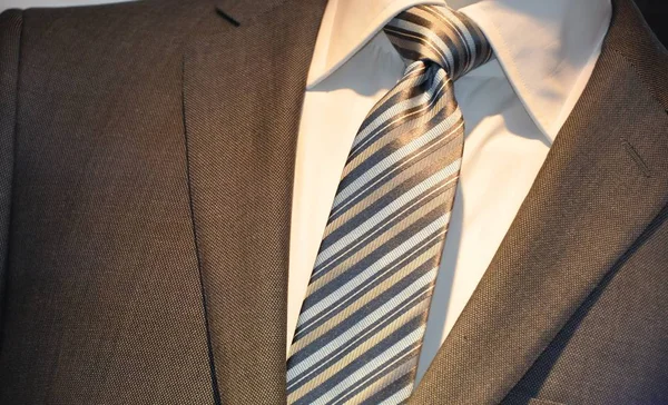 Business Suit Zakelijke Stijl — Stockfoto