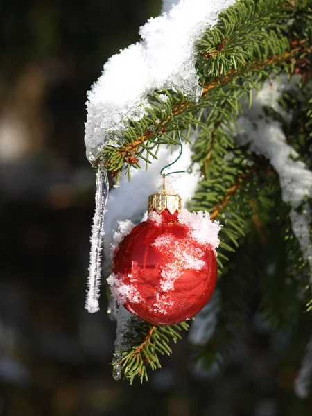 Christmas Ball Snow — Stock Photo, Image