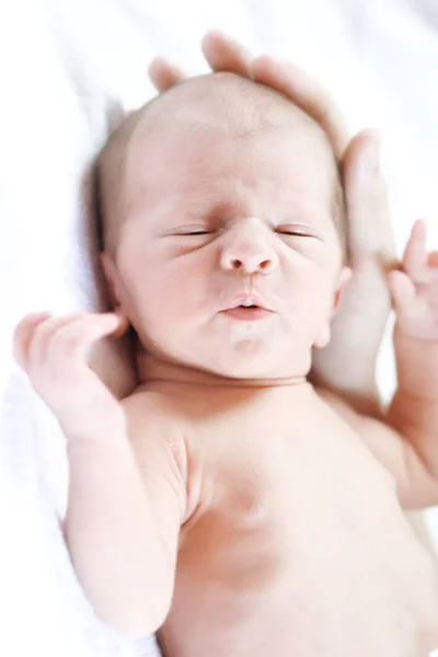 Pequeño Bebé Recién Nacido — Foto de Stock