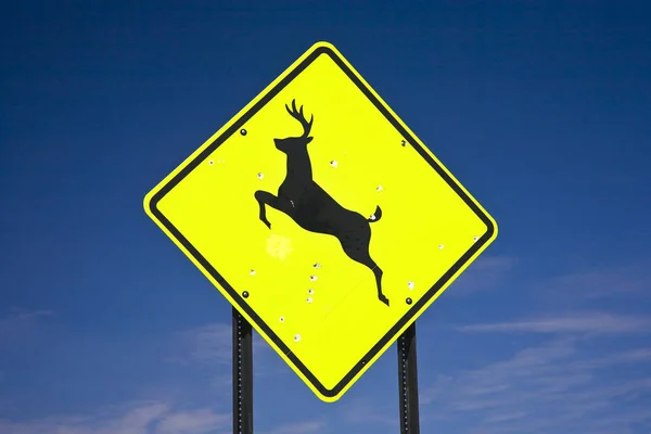 Дорожные Знаки Предупреждающие Дикой Природе — стоковое фото