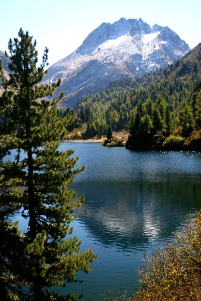 Pittoresk Uitzicht Natuur — Stockfoto