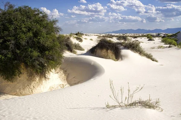 Vue Panoramique Des Dunes Mise Point Sélective — Photo