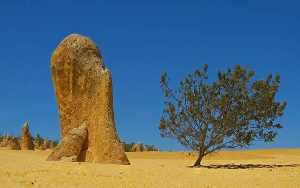 Trona Pinnacles Zijn Een Ongewoon Geologisch Kenmerk — Stockfoto