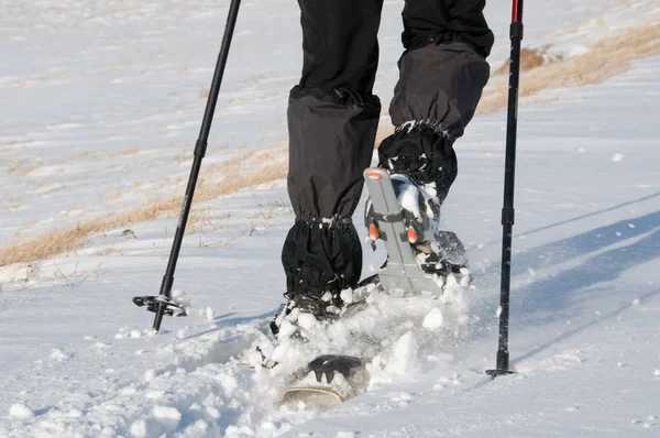 Muž Psem Kráčejícím Sněhu — Stock fotografie