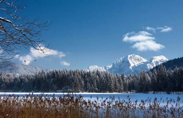 Vue Panoramique Sur Magnifique Paysage Alpin — Photo