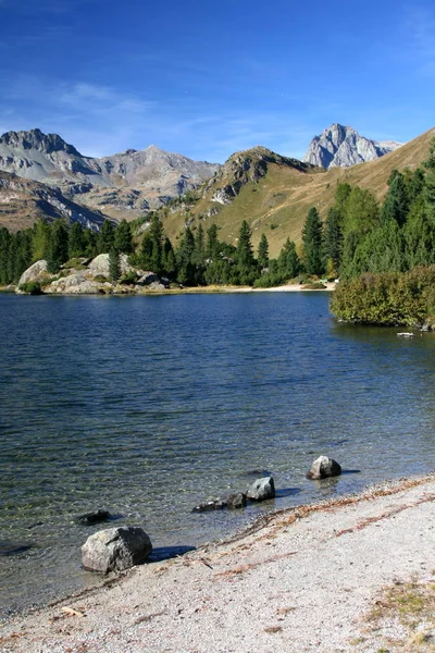 Vista Panoramica Sulla Campagna Attenzione Selettiva — Foto Stock