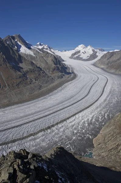 Lodowiec Aletsch Eggishorn — Zdjęcie stockowe