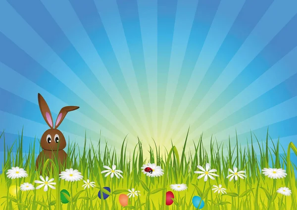 Easter Easter Bunny Green Meadow — Stock Photo, Image