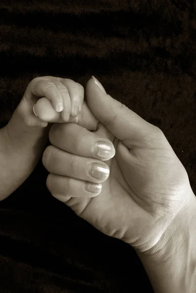 Schattig Familieportret Gelukkig Ouderschap Concept — Stockfoto