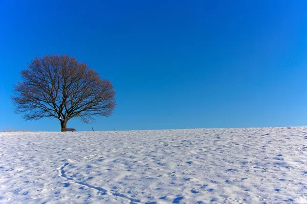 Prachtige Natuur Schilderachtige Achtergrond — Stockfoto