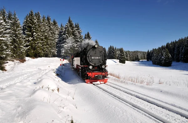 Esta Beleza Uma Viagem Pode Ser Com Ferrovia Bitola Estreita — Fotografia de Stock