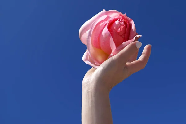 Fondo Colorido Para Tarjeta Del Día San Valentín —  Fotos de Stock