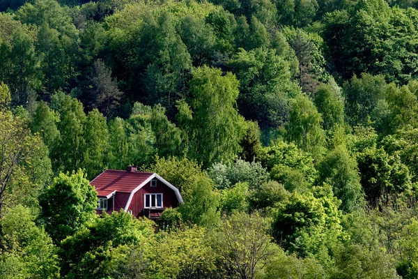 Casa Nella Foresta Svedese — Foto Stock