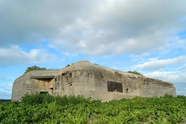 Vue Panoramique Sur Belle Architecture Médiévale Forteresse — Photo