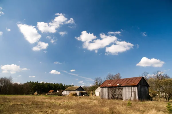 Prachtig Uitzicht Het Natuurlandschap — Stockfoto