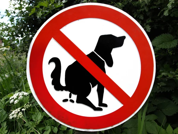 a dog sign on a road