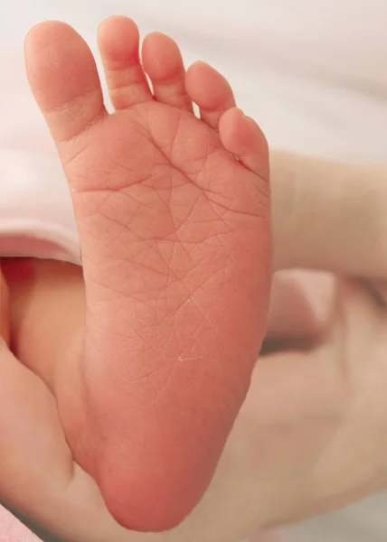 Yeni Doğmuş Bir Bebeğin Küçük Ayakları — Stok fotoğraf