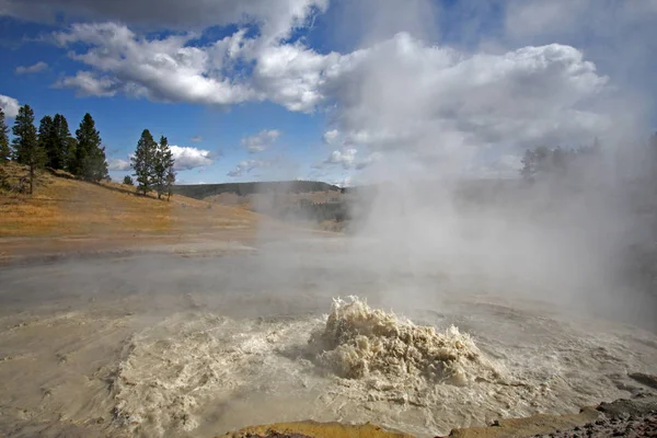 Hermosa Vista Naturaleza Escena — Foto de Stock