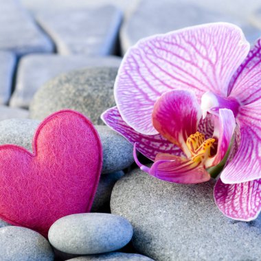 pink heart and orchid clipart