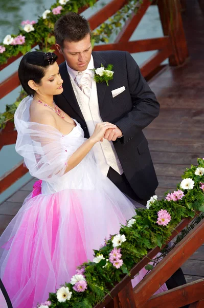 Hochzeit Braut Und Bräutigam — Stockfoto