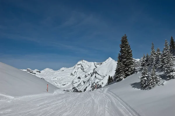 Vista Panorâmica Bela Paisagem Alpes — Fotografia de Stock