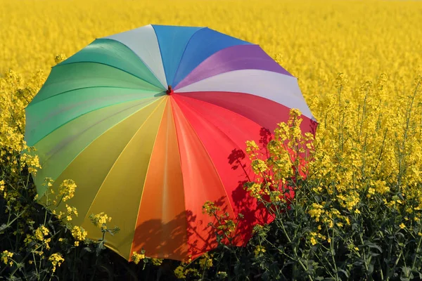 Sárga Esernyő Pályán — Stock Fotó