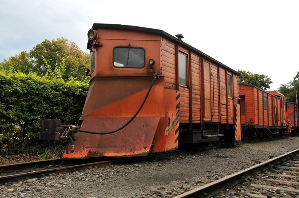 Old Locomotive Freight Train Forest — Stock Photo, Image