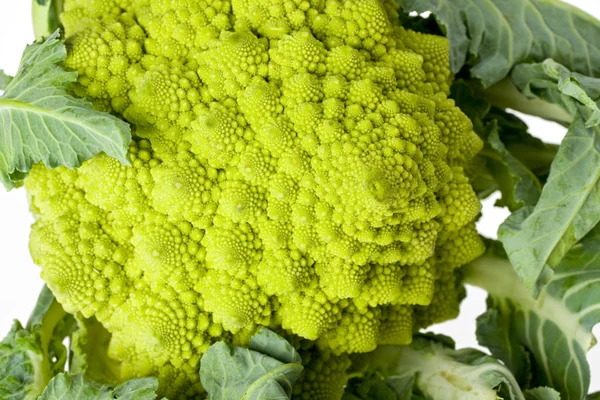 Romanesco Elszigetelt Fehér — Stock Fotó