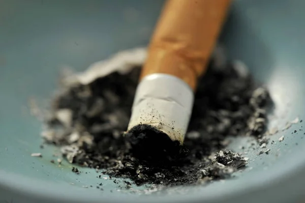 Cigarros Cigarros Chão — Fotografia de Stock