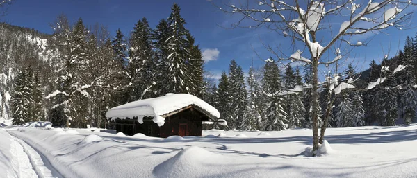 2009年2月冬天的故事谁会想到我们没有度过这样一个美好的冬天呢 英译汉1 这美丽的雪景在草棚附近 — 图库照片