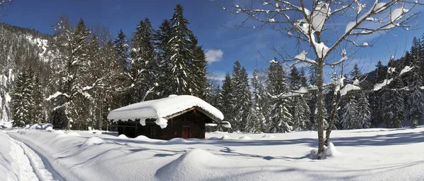 Das Wintermärchen Februar 2009 Wer Hätte Gedacht Dass Wir Keinen — Stockfoto