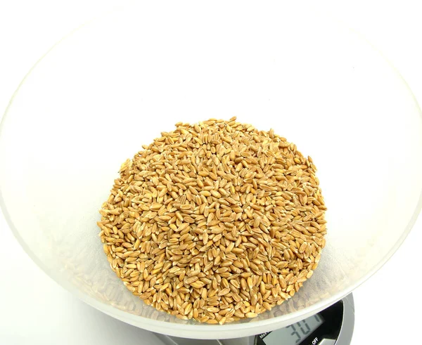 Spelt Grain Weigh Digital Scale — Stock Photo, Image