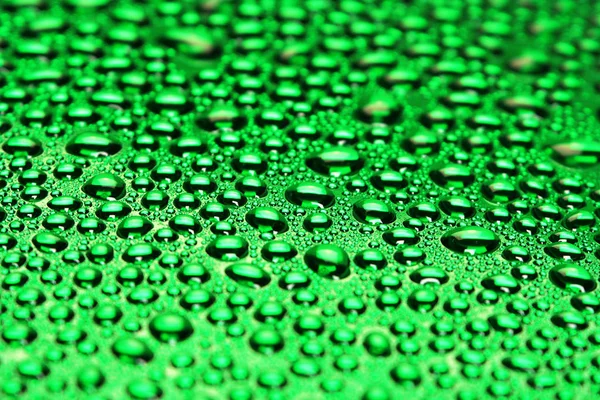 Красивые Зеленые Капли — стоковое фото
