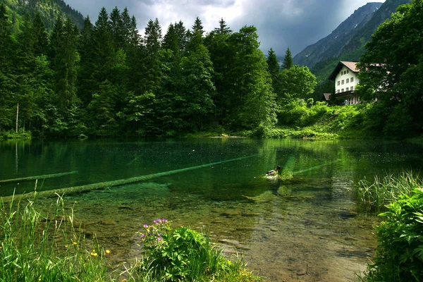 Malerischer Blick Auf Die Schöne Alpenlandschaft — Stockfoto